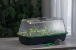 Gewächshaus & Pflanzkasten BoQube M PLUS LED & Heizmatte - Anthrazit-Sommergrün 11 Gewächshaus & Pflanzkasten BoQube M PLUS LED & Heizmatte - Anthrazit-Sommergrün -Deutschland Gartenbedarf Verkäufe 2024 romberg gewaechshaus pflanzkasten boqube m plus led heizmatte anthrazit sommergruen 1 st 1676056 de