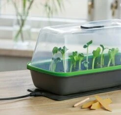 Gewächshaus & Pflanzkasten BoQube M PLUS LED & Heizmatte - Anthrazit-Sommergrün 15 Gewächshaus & Pflanzkasten BoQube M PLUS LED & Heizmatte - Anthrazit-Sommergrün -Deutschland Gartenbedarf Verkäufe 2024 romberg gewaechshaus pflanzkasten boqube m plus led heizmatte anthrazit sommergruen 1 stk 1046351 de