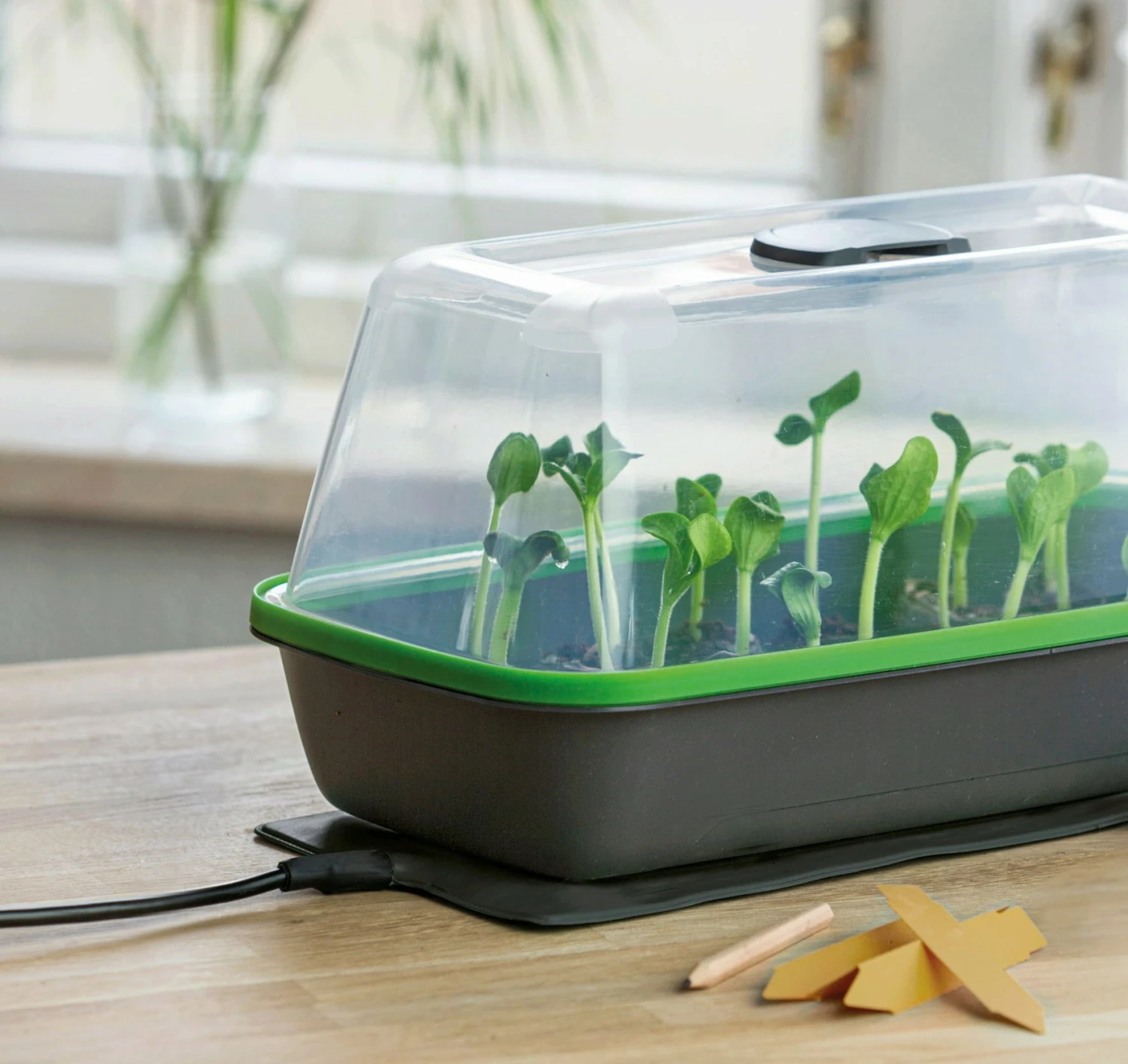 Gewächshaus & Pflanzkasten BoQube M PLUS LED & Heizmatte - Anthrazit-Sommergrün 9 Gewächshaus & Pflanzkasten BoQube M PLUS LED & Heizmatte - Anthrazit-Sommergrün – Bild 7