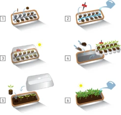 Gewächshaus & Pflanzkasten L - BoQube In Weiß-Pflaume 12 Gewächshaus & Pflanzkasten L - BoQube In Weiß-Pflaume -Deutschland Gartenbedarf Verkäufe 2024 romberg gewaechshaus pflanzkasten l boqube in weiss pflaume 1 st 1676052 de