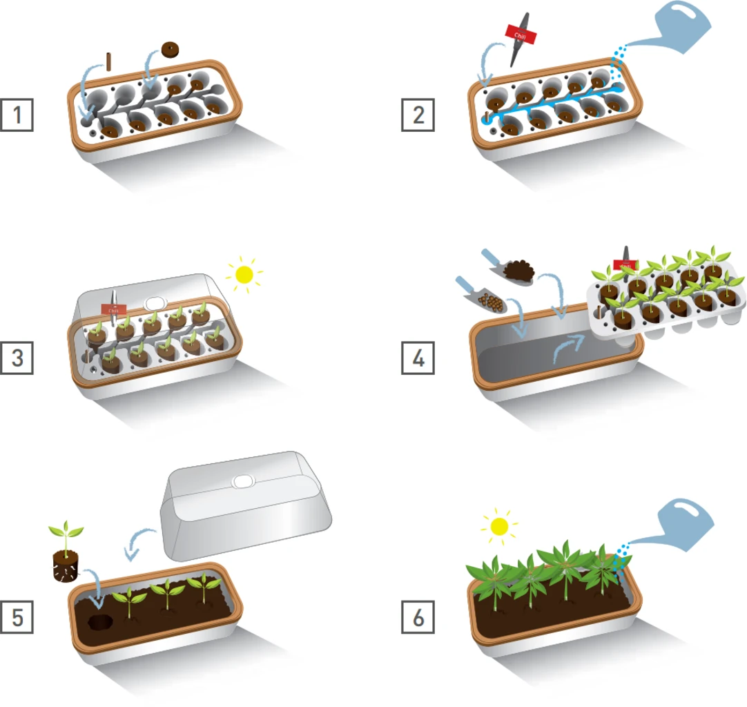 Gewächshaus & Pflanzkasten L - BoQube In Weiß-Pflaume 6 Gewächshaus & Pflanzkasten L - BoQube In Weiß-Pflaume – Bild 4