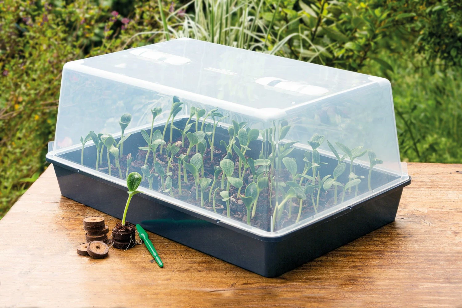 Gewächshaus XXL Mit Belüftung 4 Gewächshaus XXL Mit Belüftung – Bild 2