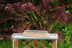 Holz-Anzuchthaus, L 8 Holz-Anzuchthaus, L -Deutschland Gartenbedarf Verkäufe 2024 romberg holz anzuchthaus 1559590 de