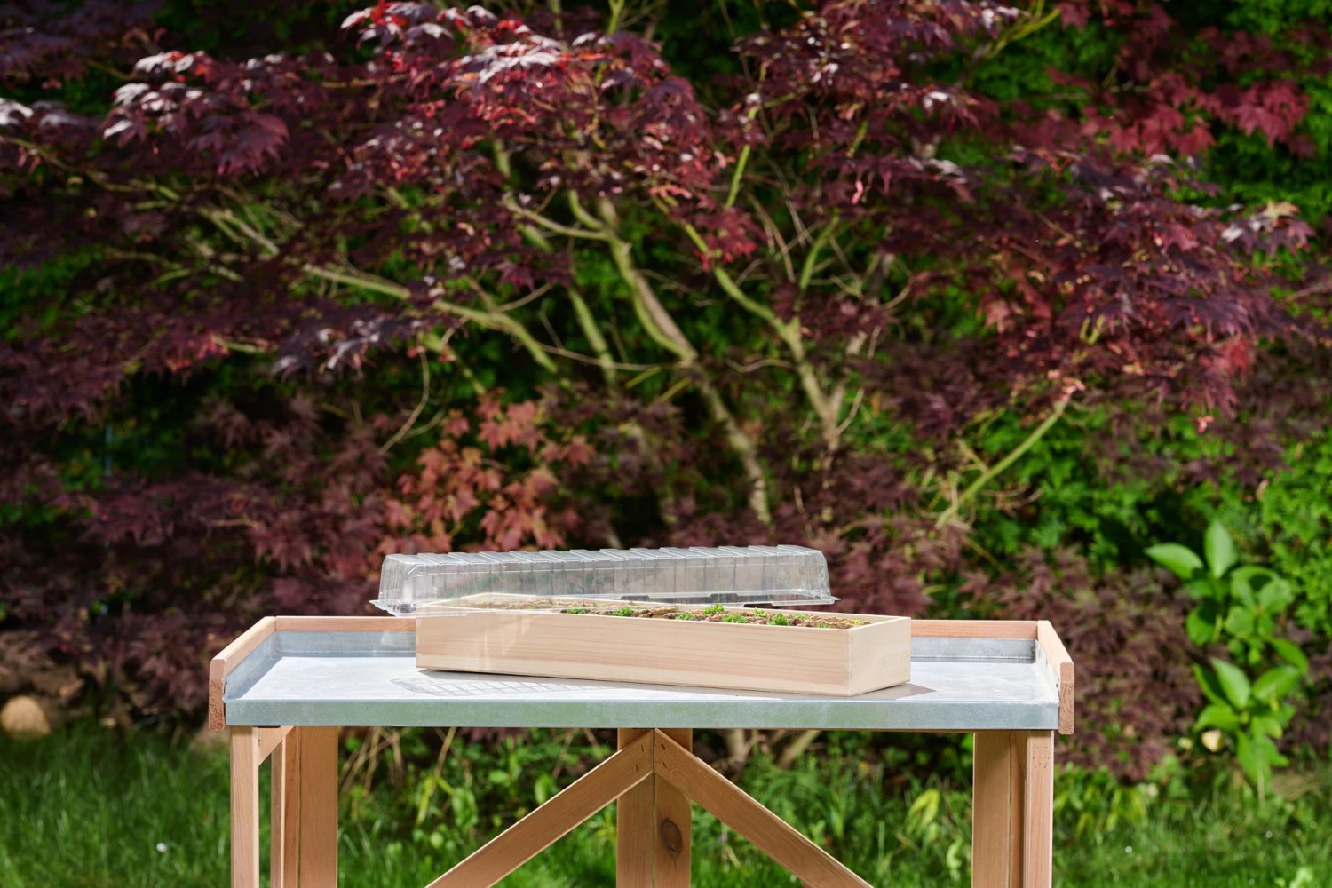 Holz-Anzuchthaus, L 3 Holz-Anzuchthaus, L