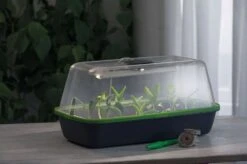 LED Pflanzenbeleuchtung -Deutschland Gartenbedarf Verkäufe 2024 romberg led pflanzenbeleuchtung 1 st 1658033 de