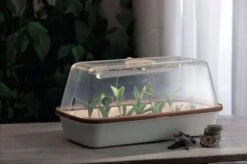 LED Pflanzenbeleuchtung -Deutschland Gartenbedarf Verkäufe 2024 romberg led pflanzenbeleuchtung 1 st 1658036 de