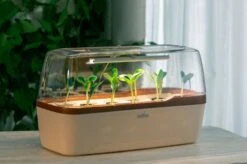 LED Pflanzenbeleuchtung -Deutschland Gartenbedarf Verkäufe 2024 romberg led pflanzenbeleuchtung 1 st 1671621 de