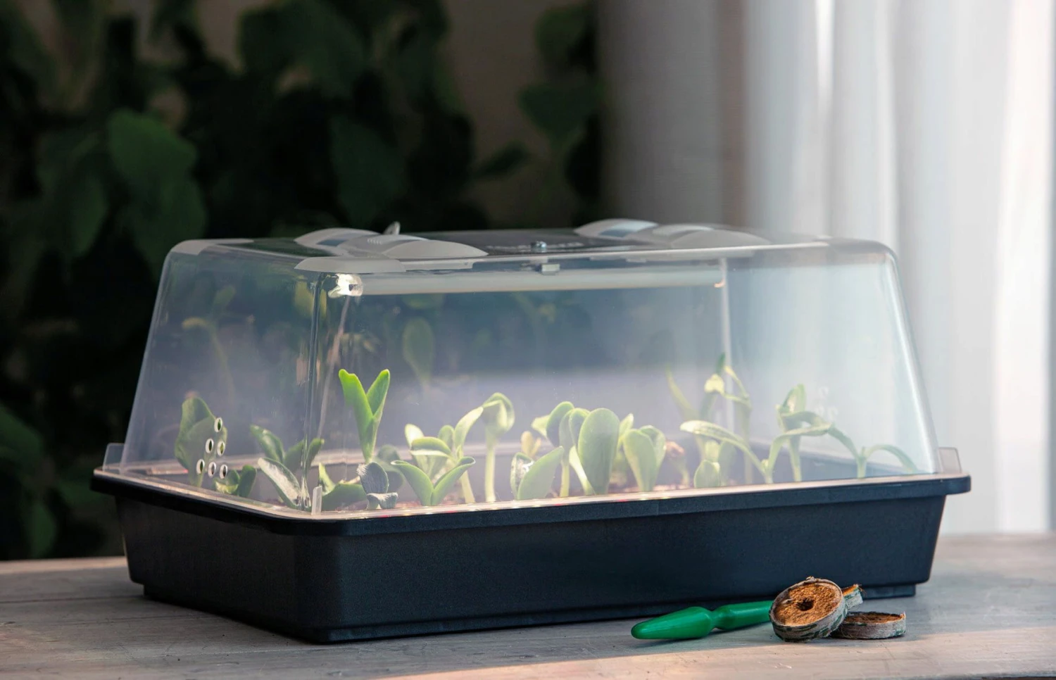 Lumio M LED 3 Lumio M LED