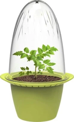 Mini – Anzuchttöpfe