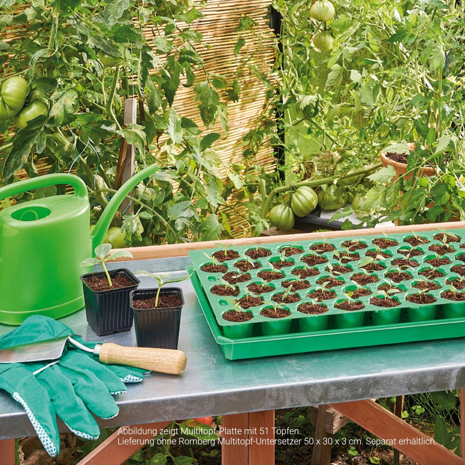 Multitopf-Platte 38 Töpfe - 50x30 Cm 4 Multitopf-Platte 38 Töpfe - 50x30 Cm – Bild 2