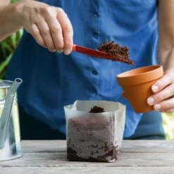 POP UP BOX Anzucht-Erde - 5 X 1 Liter 9 POP UP BOX Anzucht-Erde - 5 X 1 Liter -Deutschland Gartenbedarf Verkäufe 2024 romberg pop up box anzucht erde 5 x 1 liter 1664254 de