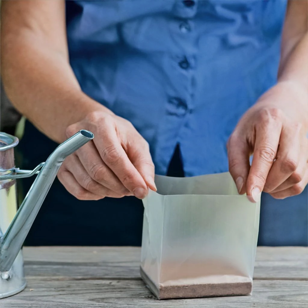 POP UP BOX Anzucht-Erde - 5 X 1 Liter 6 POP UP BOX Anzucht-Erde - 5 X 1 Liter – Bild 4