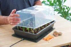 Power Gewächshaus "Thermo M" 7 Power Gewächshaus "Thermo M" -Deutschland Gartenbedarf Verkäufe 2024 romberg power gewaechshaus thermo m 1 st 907762 de