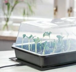 Power Gewächshaus "Thermo M" 8 Power Gewächshaus "Thermo M" -Deutschland Gartenbedarf Verkäufe 2024 romberg power gewaechshaus thermo m 1 st 907769 de