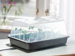 Power Gewächshaus "Thermo M" 9 Power Gewächshaus "Thermo M" -Deutschland Gartenbedarf Verkäufe 2024 romberg power gewaechshaus thermo m 1 st 907776 de