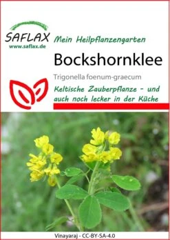 Bockshornklee