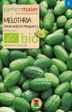 Bio Beet-Box "Für Kids" -Deutschland Gartenbedarf Verkäufe 2024 samen maier bio beet box fuer kids 1 set 1668530 de