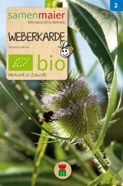 Bio Beet-Box "Raritätenbox Für Besondere" 11 Bio Beet-Box "Raritätenbox Für Besondere" -Deutschland Gartenbedarf Verkäufe 2024 samen maier bio beet box raritaetenbox fuer besondere 1 set 1668416 de