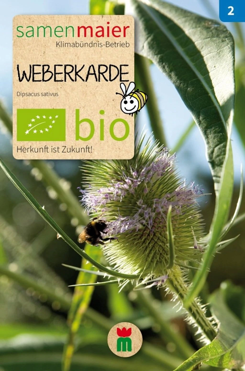 Bio Beet-Box "Raritätenbox Für Besondere" 5 Bio Beet-Box "Raritätenbox Für Besondere" – Bild 3