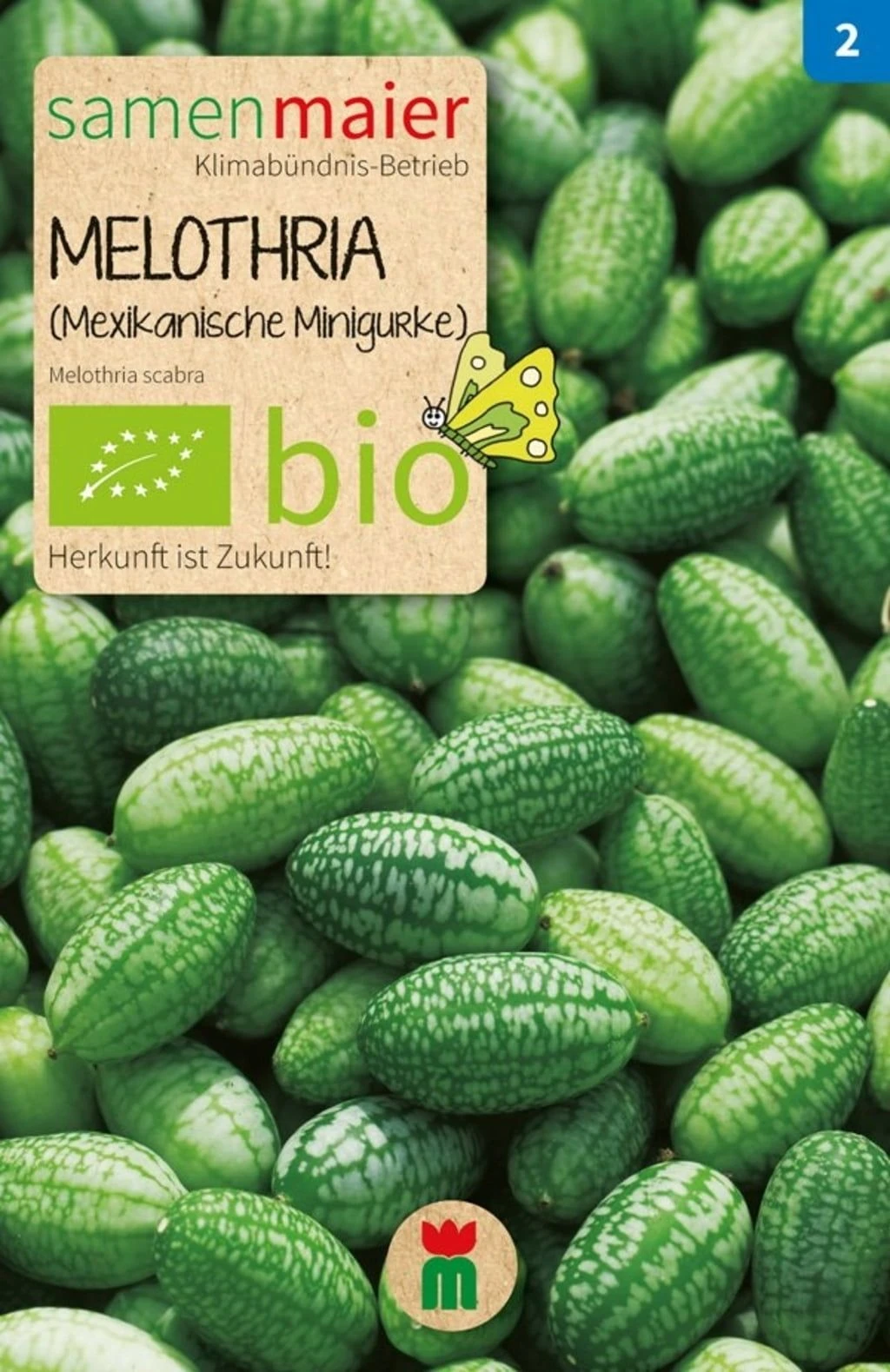 Bio Beet-Box "Raritätenbox Für Besondere" 6 Bio Beet-Box "Raritätenbox Für Besondere" – Bild 4