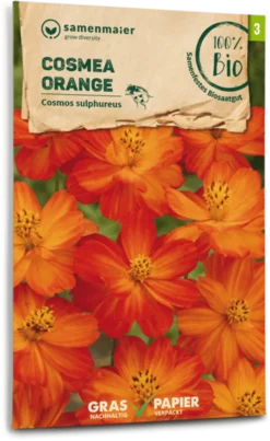 Bio Cosmea - Orange