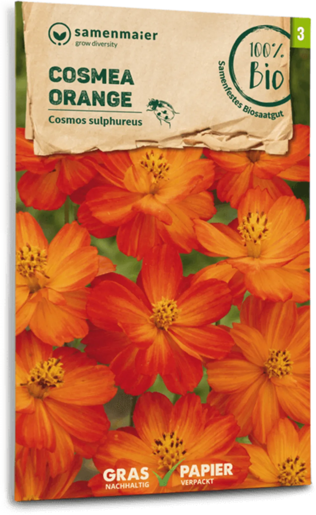 Bio Cosmea - Orange 3 Bio Cosmea - Orange