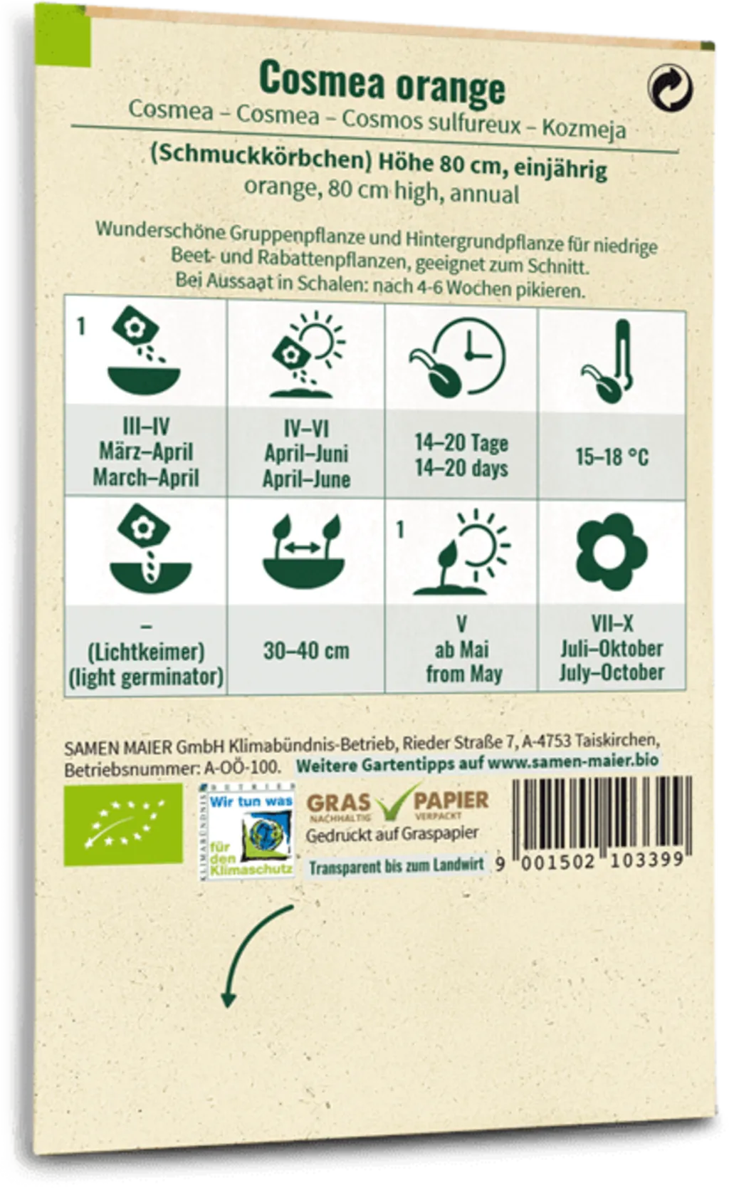 Bio Cosmea - Orange 4 Bio Cosmea - Orange – Bild 2