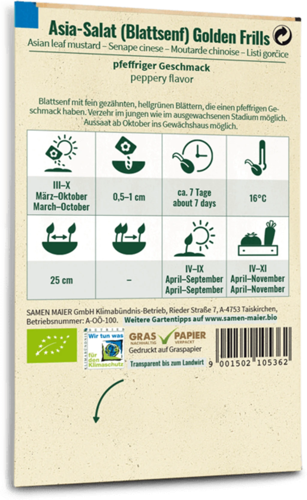 Bio Fadenlose Stangenbohne "Blauhilde" 4 Bio Fadenlose Stangenbohne "Blauhilde" – Bild 2