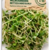 Bio Keimsprossen/Microgreens - Rucola -Deutschland Gartenbedarf Verkäufe 2024 samen maier bio keimsprossen microgreens rucola 1672936 de