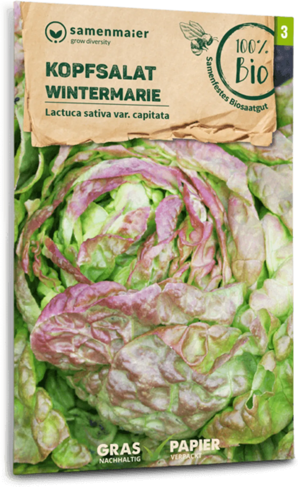 Bio Kopfsalat "Wintermarie" 3 Bio Kopfsalat "Wintermarie"