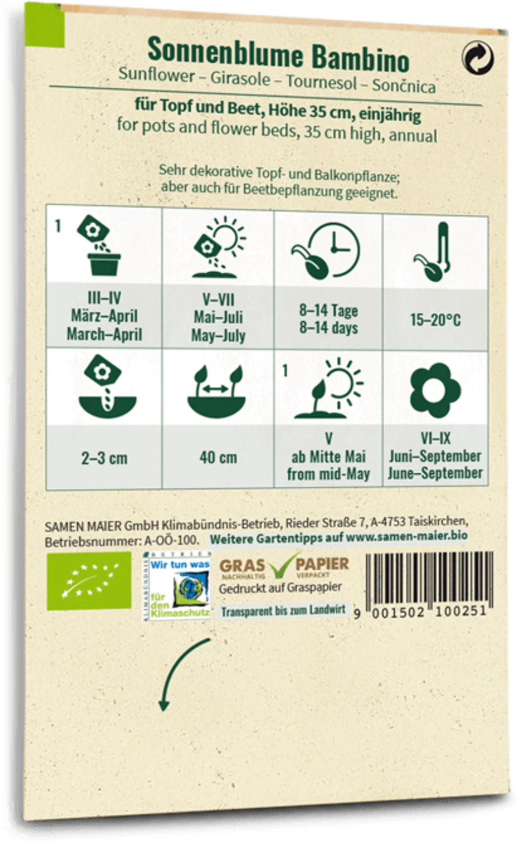 Bio Sonnenblume "Bambino" 4 Bio Sonnenblume "Bambino" – Bild 2