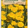Bio Wildblume Färber-Hundskamille 2 Bio Wildblume Färber-Hundskamille -Deutschland Gartenbedarf Verkäufe 2024 samen maier bio wildblume faerber hundskamille 1670848 de
