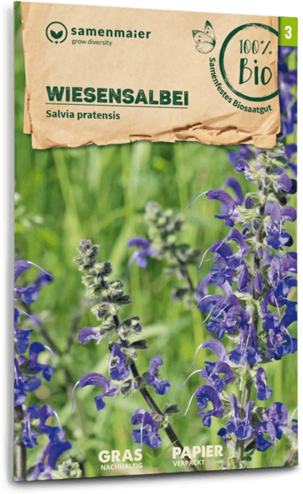 Bio Wildblume Wiesensalbei 3 Bio Wildblume Wiesensalbei