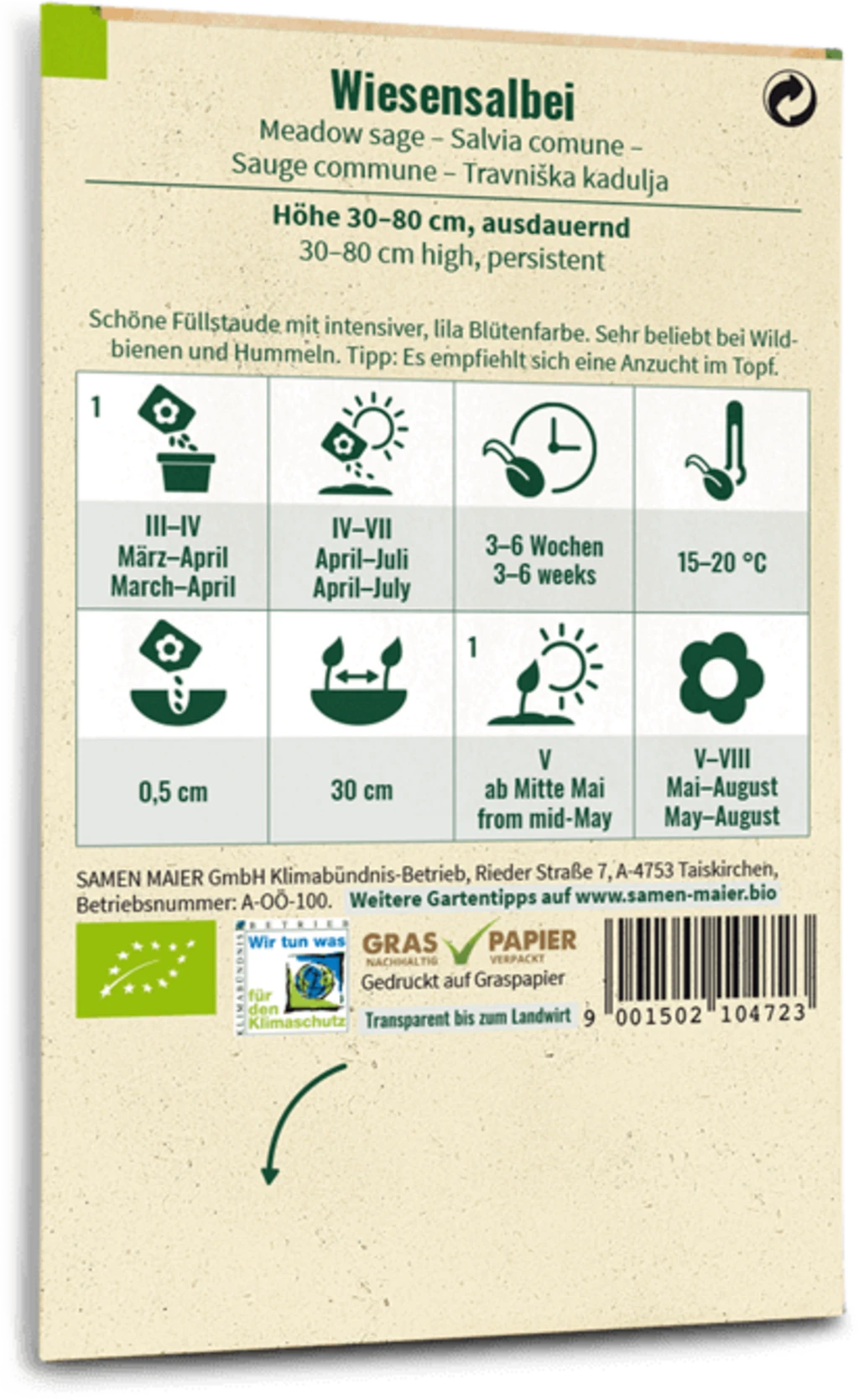 Bio Wildblume Wiesensalbei 4 Bio Wildblume Wiesensalbei – Bild 2