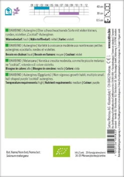 Bio Aubergine "Bambino"