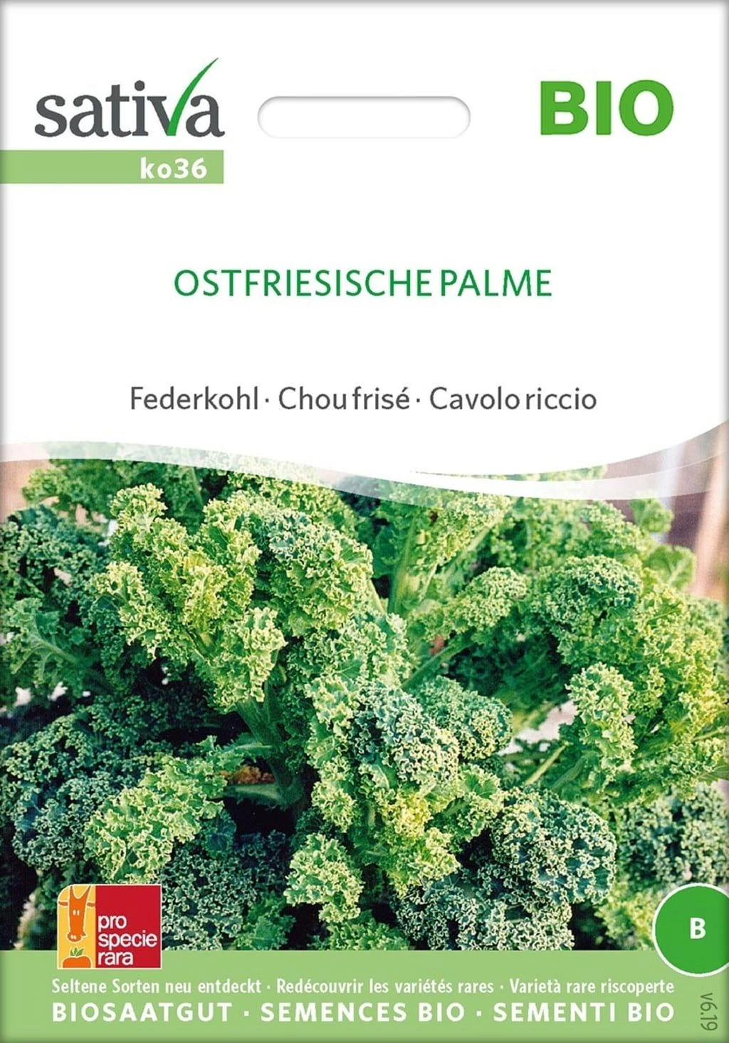 Bio Federkohl / Grünkohl "Ostfriesische Palme" 3 Bio Federkohl / Grünkohl "Ostfriesische Palme"