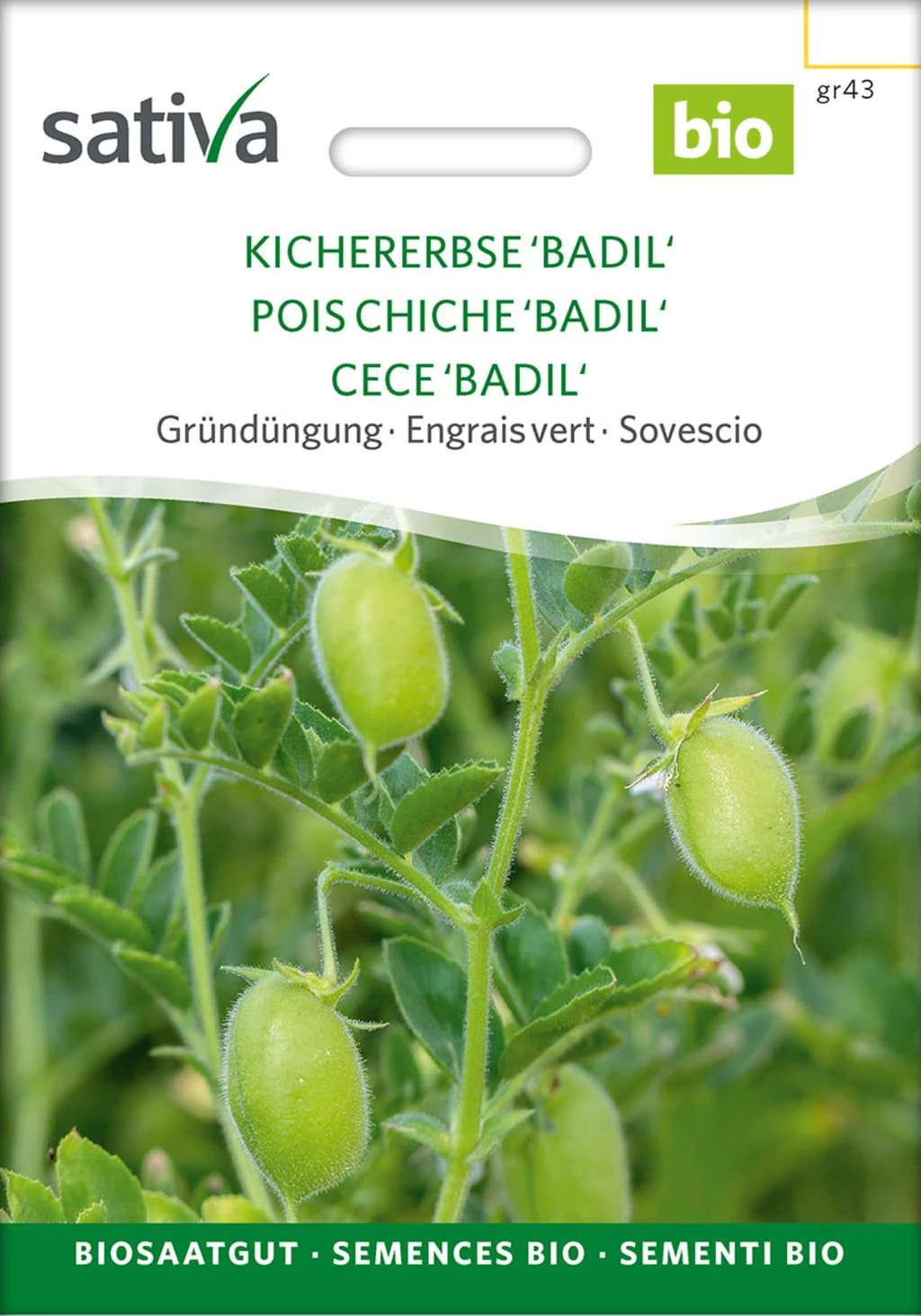 Bio Gründüngung "Kichererbse Badil" 4 Bio Gründüngung "Kichererbse Badil" – Bild 2