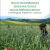 Bio Gründüngung "Waldstauden Roggen" -Deutschland Gartenbedarf Verkäufe 2024 sativa bio gruenduengung waldstauden roggen 1683160 de