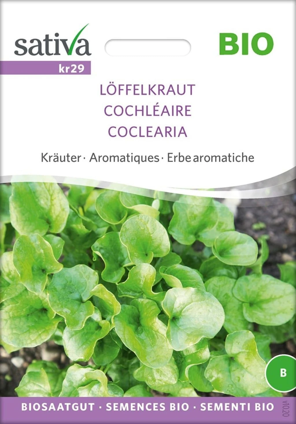 Bio Kräuter "Löffelkraut" 4 Bio Kräuter "Löffelkraut" – Bild 2