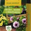 Pflanz-Granulat Für Beet-, Balkon- & Kübelpflanzen 12,5 L, 12,50 L 2 Pflanz-Granulat Für Beet-, Balkon- & Kübelpflanzen 12,5 L, 12,50 L -Deutschland Gartenbedarf Verkäufe 2024 seramis pflanz granulat fuer beet balkon kuebelpflanzen 125 l 1250 l 1671101 de