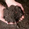 Bio Schwarzerde Im Big Bag AKTION, 1 Tonne + GRATIS Heuballen 2 Bio Schwarzerde Im Big Bag AKTION, 1 Tonne + GRATIS Heuballen -Deutschland Gartenbedarf Verkäufe 2024 sonnenerde bio schwarzerde im big bag gratis heuballen 1514664 de