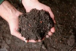 Bio Schwarzerde Im Big Bag AKTION, 1 Tonne + GRATIS Heuballen