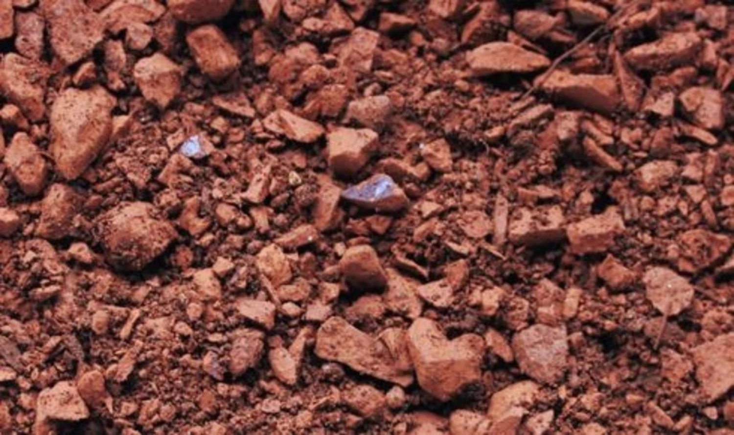 Dachgartenerde Extensiv Big Bag, 1 Tonne 3 Dachgartenerde Extensiv Big Bag, 1 Tonne