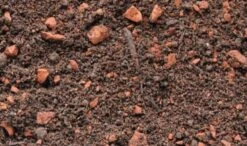 Dachgartenerde Intensiv Im Big Bag, 1 Tonne 7 Dachgartenerde Intensiv Im Big Bag, 1 Tonne -Deutschland Gartenbedarf Verkäufe 2024 sonnenerde dachgartenerde intensiv im big bag 1 tona 1667897 de