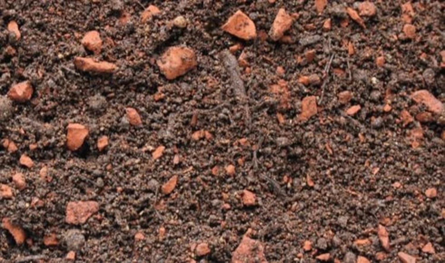 Dachgartenerde Intensiv Im Big Bag, 1 Tonne 5 Dachgartenerde Intensiv Im Big Bag, 1 Tonne – Bild 3