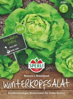 Winterkopfsalat