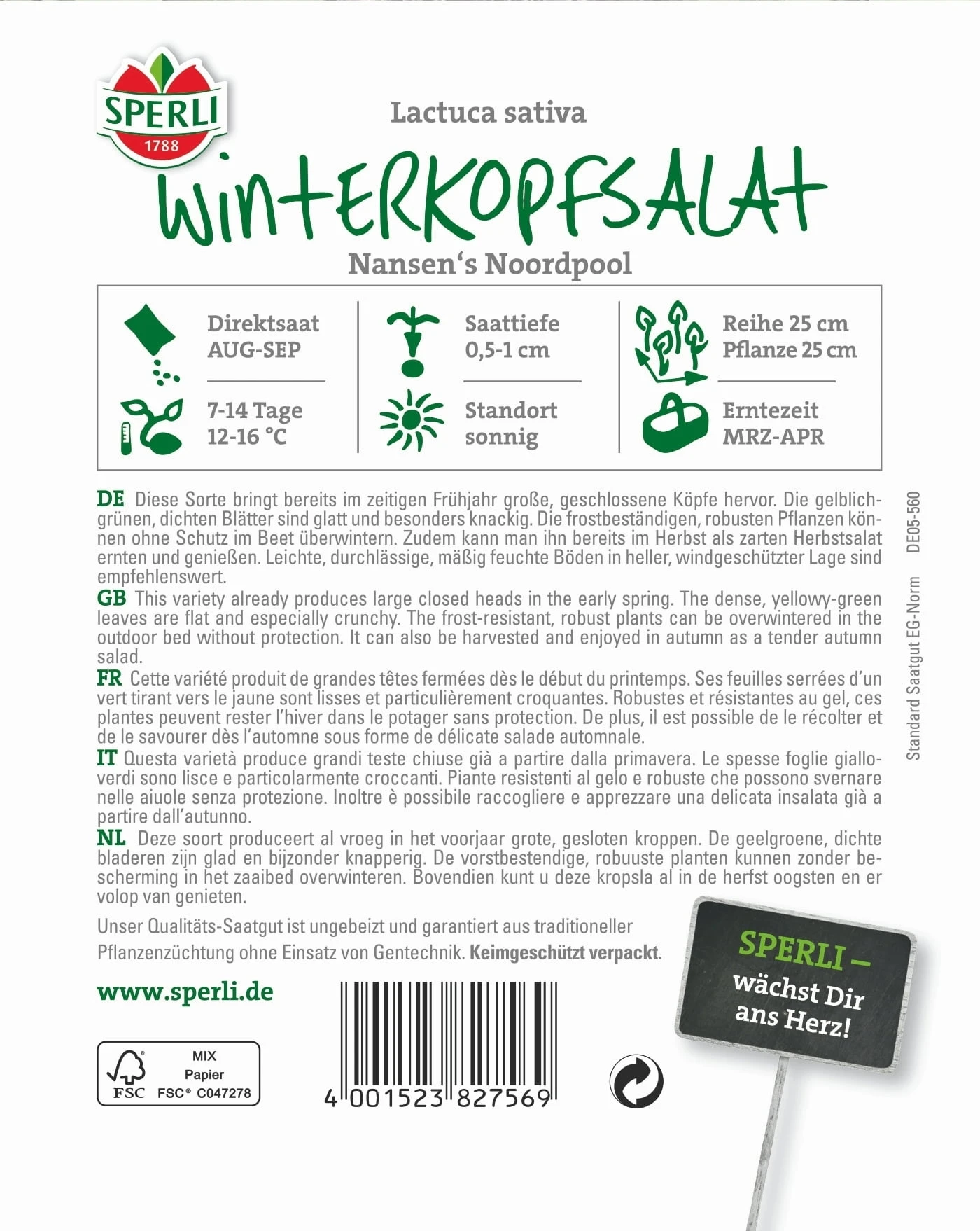 Winterkopfsalat 4 Winterkopfsalat – Bild 2