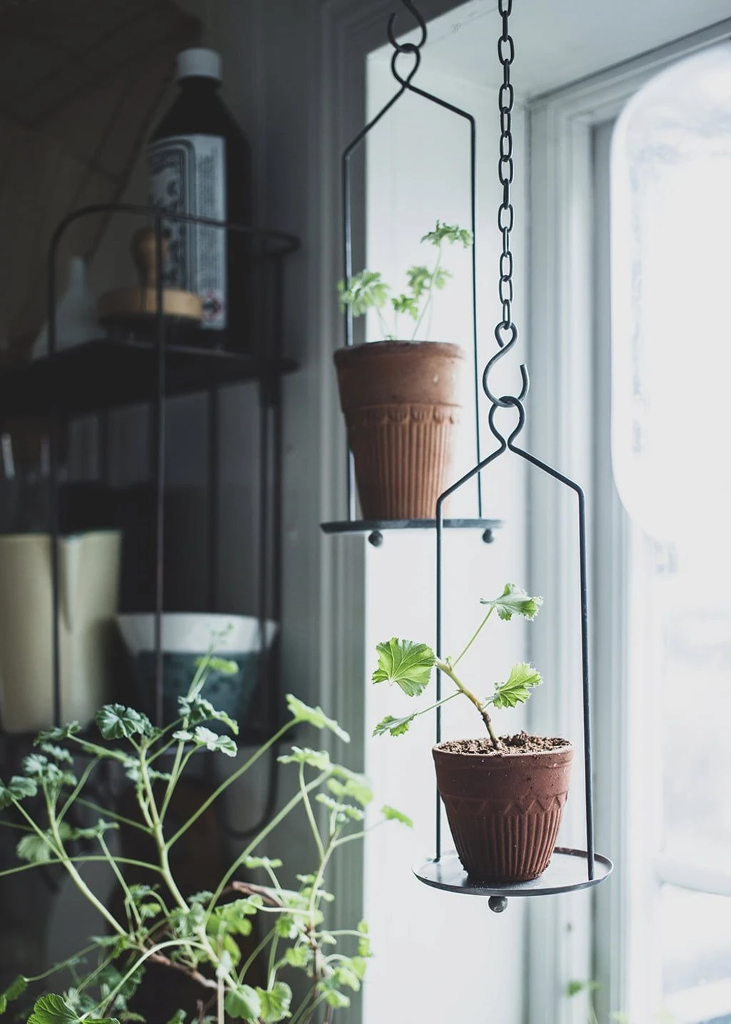 Hänge-Untersetzer Für Töpfe, Groß 3 Hänge-Untersetzer Für Töpfe, Groß