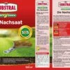 Rasen "Die Nachsaat", 2 Kg 1 Rasen "Die Nachsaat", 2 Kg -Deutschland Gartenbedarf Verkäufe 2024 substral rasen die nachsaat 2 kg 1666456 de