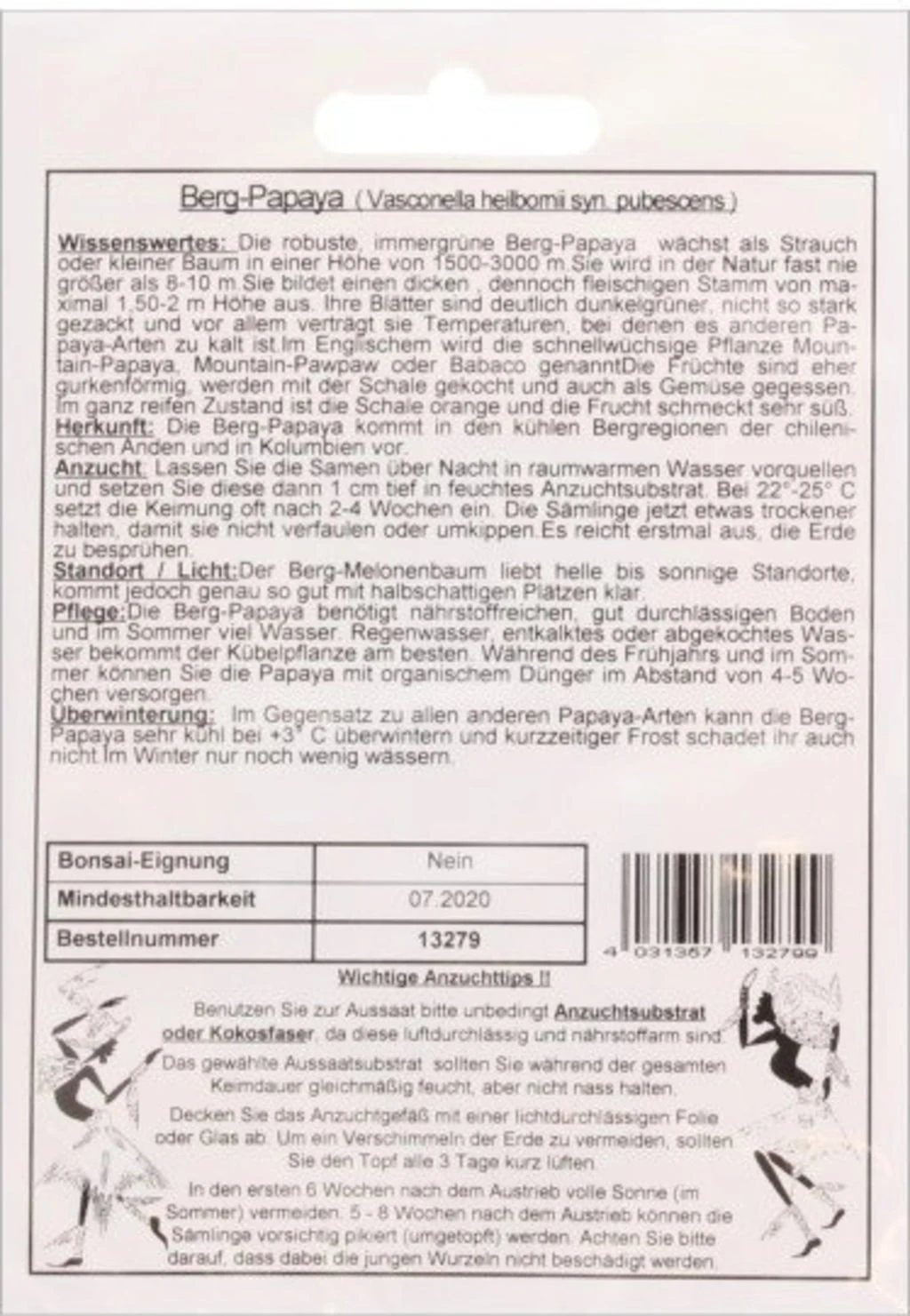 Berg-Papaya, 10 Korn 3 Berg-Papaya, 10 Korn
